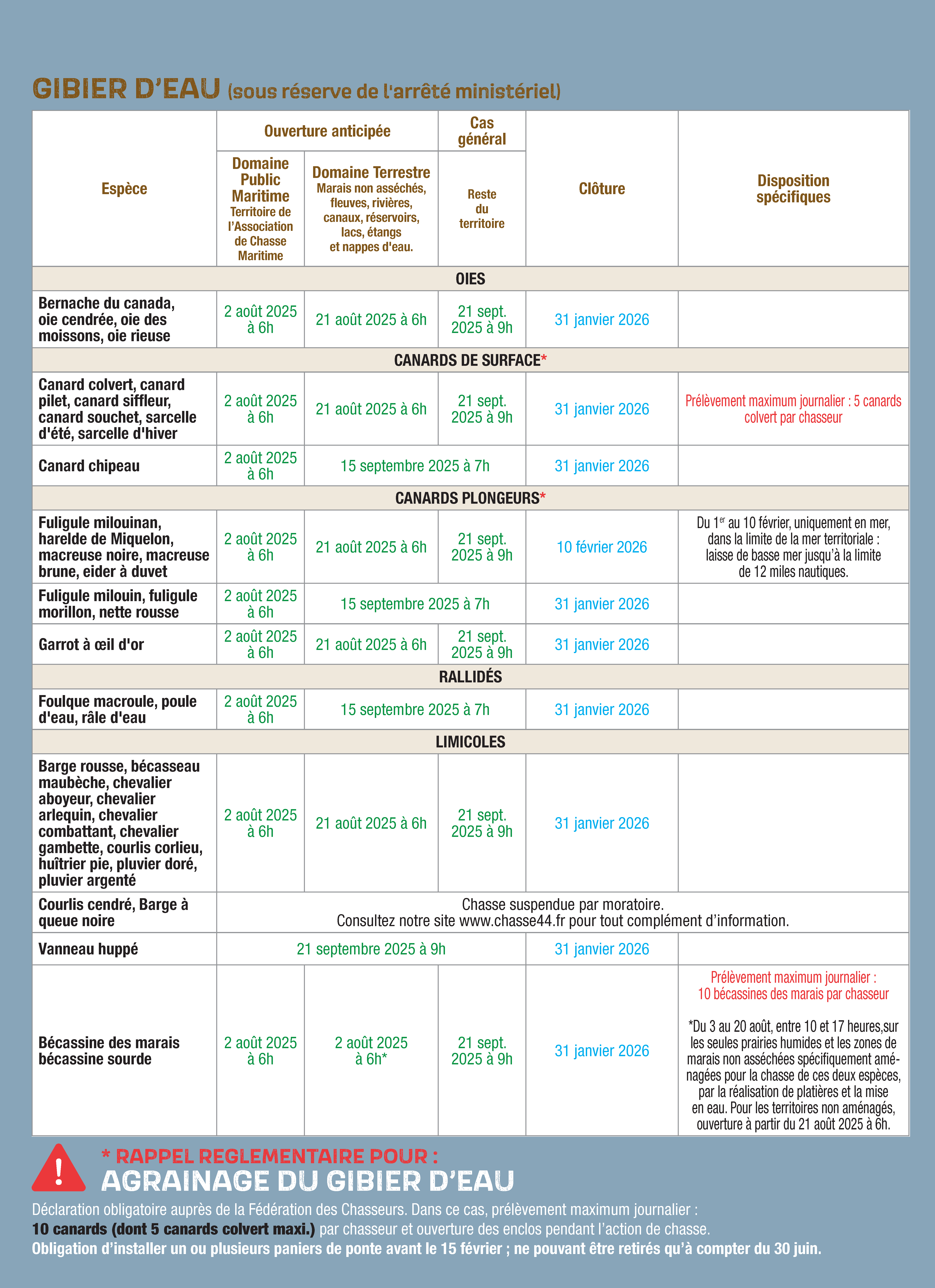 pages 16 et 17 HD web Page 2