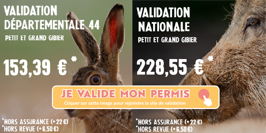 Plan de travail 8075