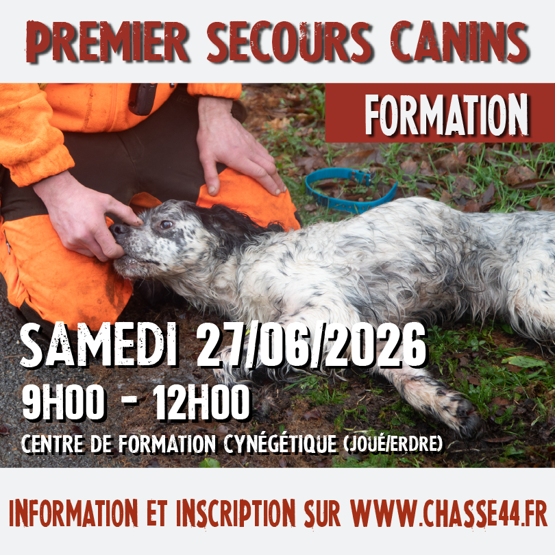 FORMATIONS copie 20.75x