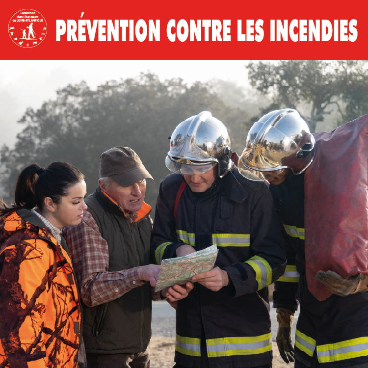 FEUPlan de travail 60.75x