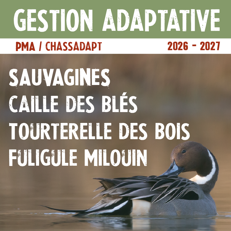 migrateur25260.75x