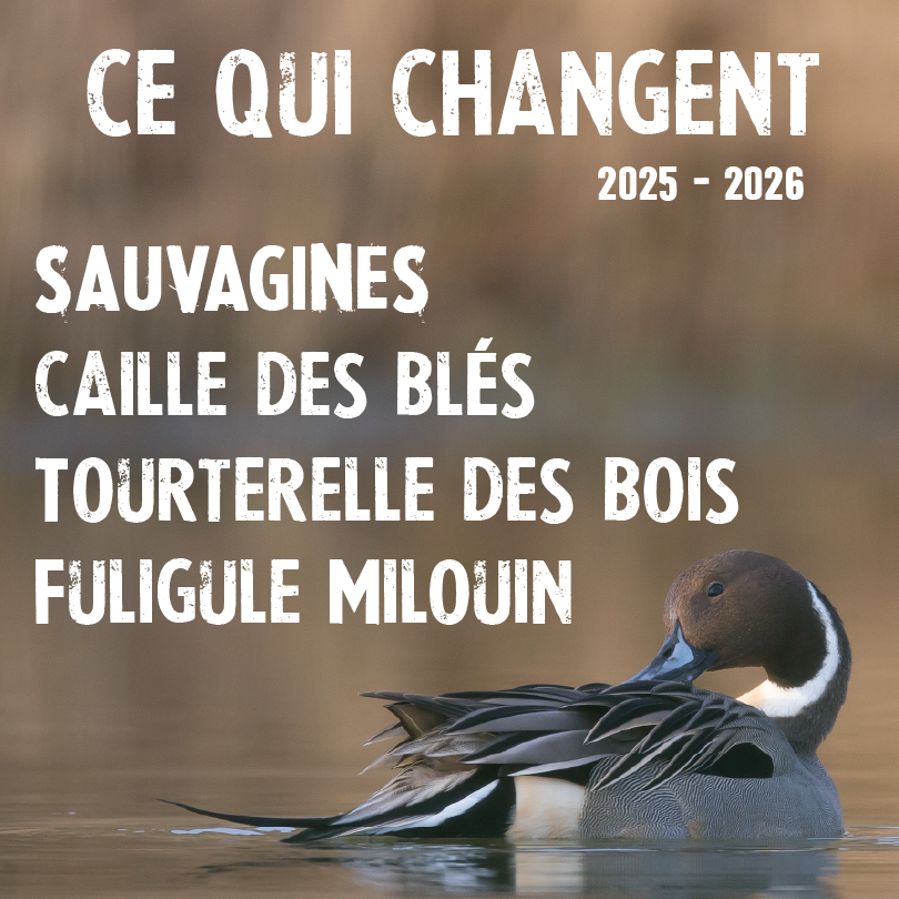 migrateur25260.75x