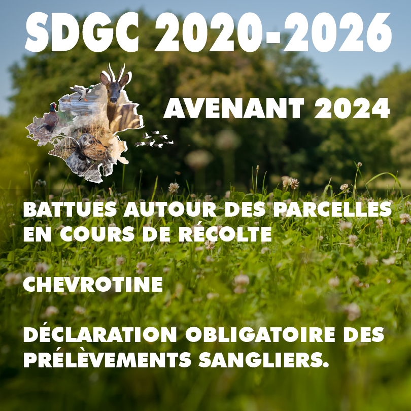 SDGC AVENANT 3