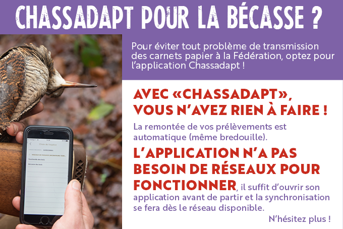 Chassadapt2