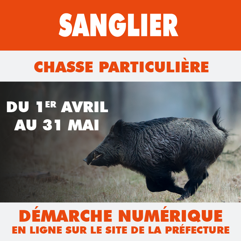 Sanglier demarche simplifie 21