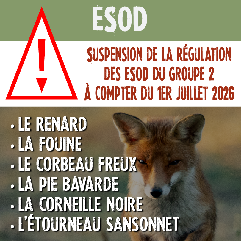 06 2026ESOD0.75x