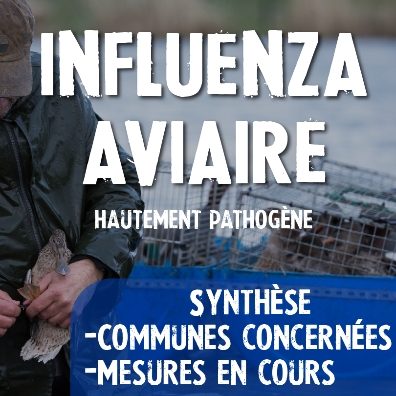 INFLUENZA AVIARE0.75x