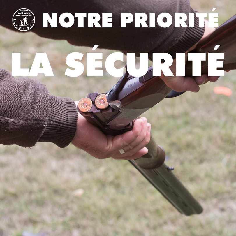 securite0.75x