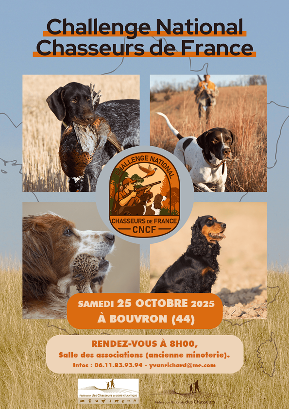 AFFICHE web