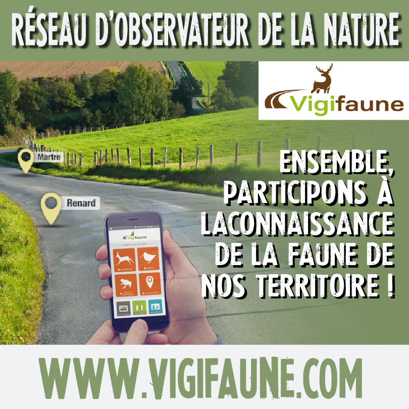 FORMATIONS copie 2075