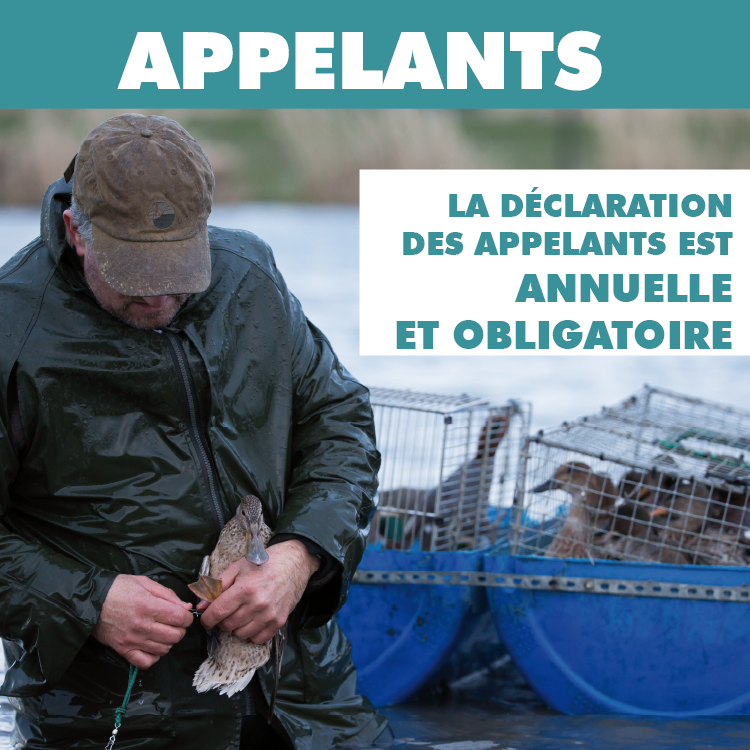 AppelantPlan de travail 60.75x