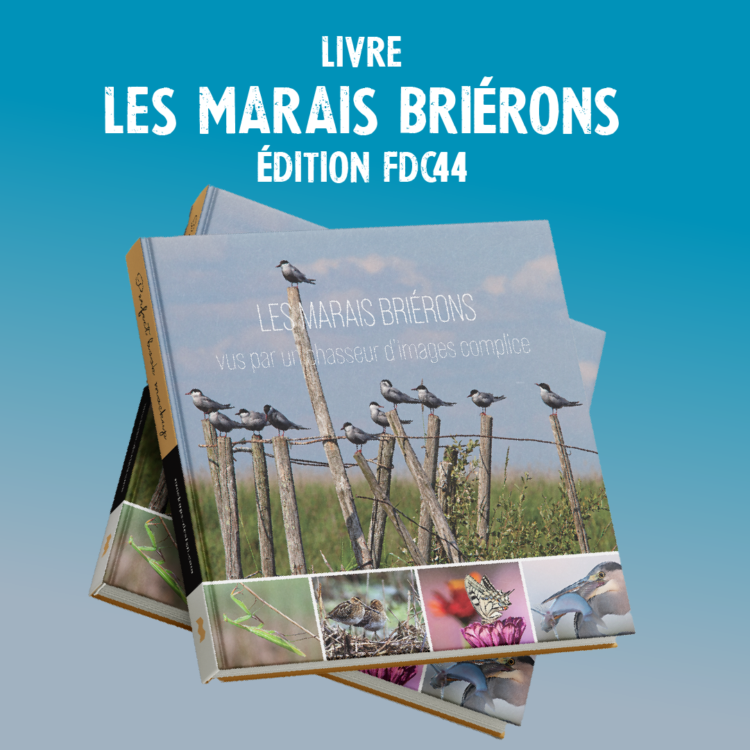 LIVRE MARAISFORMATIONS1